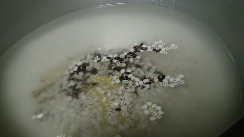 雑穀入り胚芽米ごはん