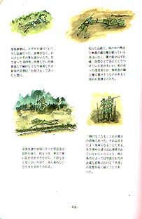 �䓇����G���L�̃y�[�W