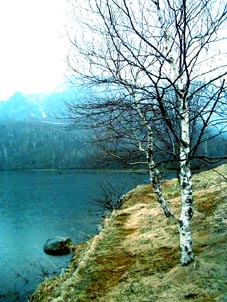 kagamigaike.jpg (28024 �o�C�g)