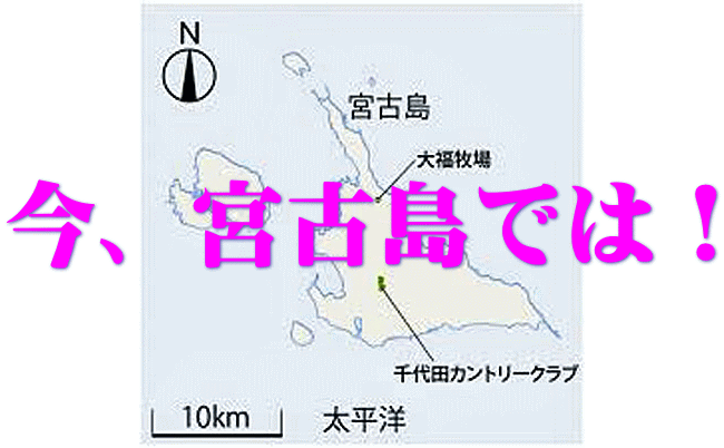 今、宮古島では!