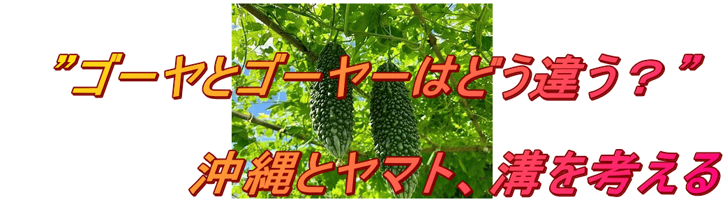 　 　”ゴーヤとゴーヤーはどう違う？”  　　　　　沖縄とヤマト、溝を考える