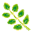 leaves.gif (683 �o�C�g)