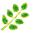 leaves.gif (683 �o�C�g)