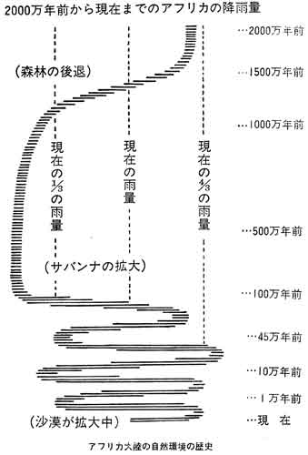 図表　2000万年前から現在までのアフリカの降雨量