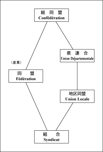 ＣＧＴの組織構造図