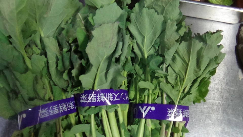 のらぼう菜