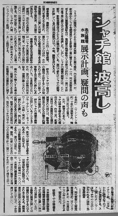 newspaper