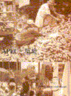 u`odbƊv