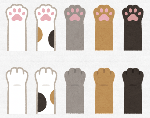 ねこの足が並ぶ